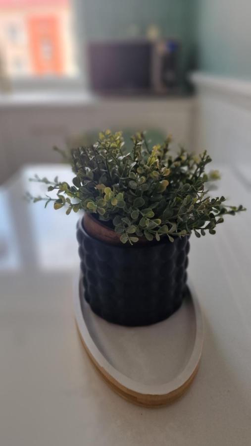 Grudziądz Alfama Garden 아파트 외부 사진