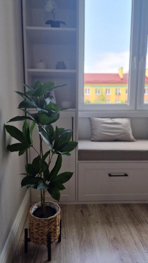 Grudziądz Alfama Garden 아파트 외부 사진