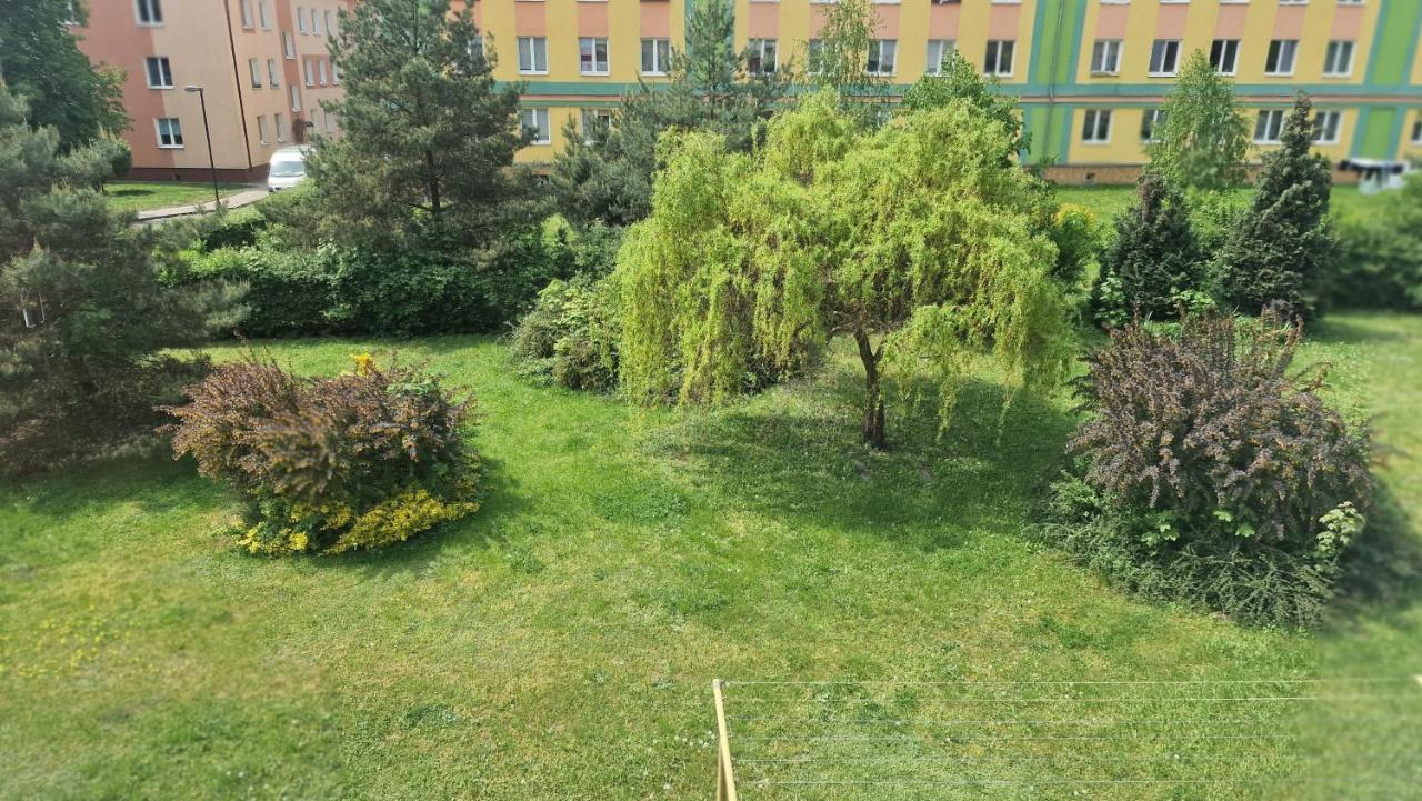 Grudziądz Alfama Garden 아파트 외부 사진