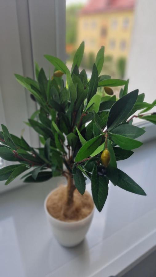 Grudziądz Alfama Garden 아파트 외부 사진